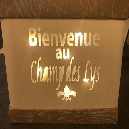 Hotel Le Champ Des Lys Amancey Exteriér fotografie