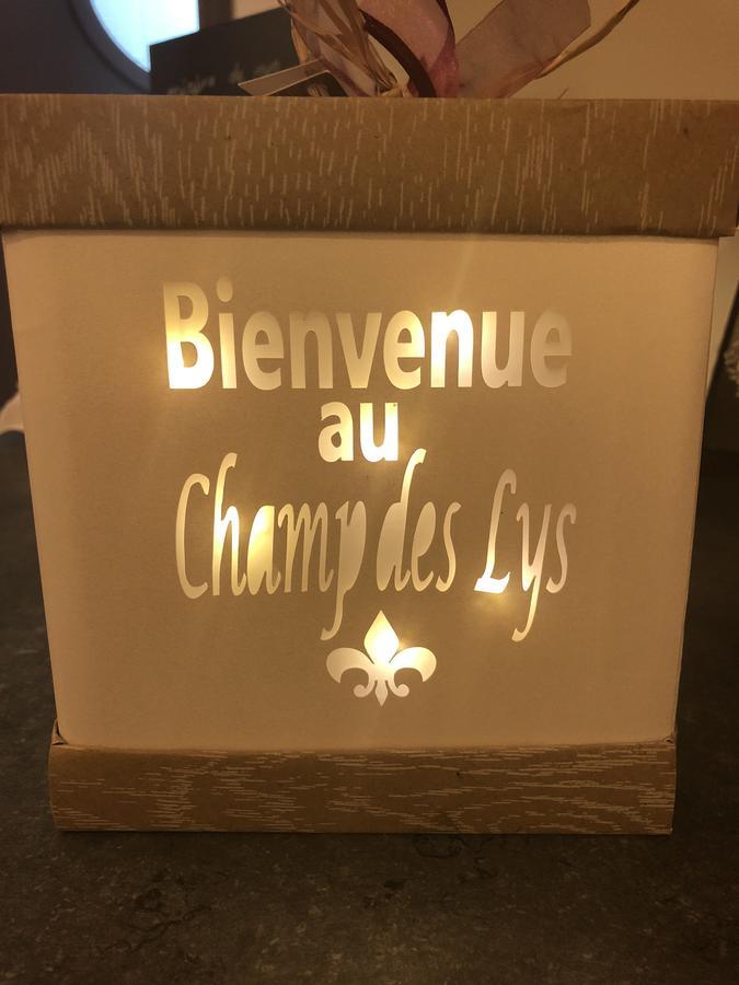 Hotel Le Champ Des Lys Amancey Exteriér fotografie
